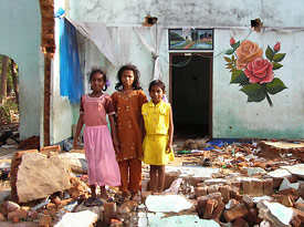 Many homes were destroyed in the tsunami